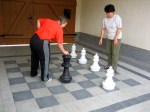 Freilandschach im Hof